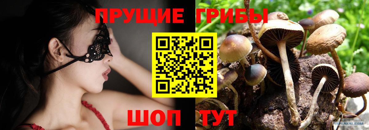 Галлюциногенные грибы Psilocybe  Галлюциногенные грибы Magic Shrooms  Кинель  Вход с VPN 